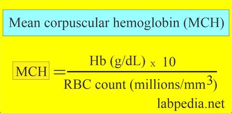 mch pg low|MCH Levels (Mean Corpuscular Hemoglobin) From Blood Test.